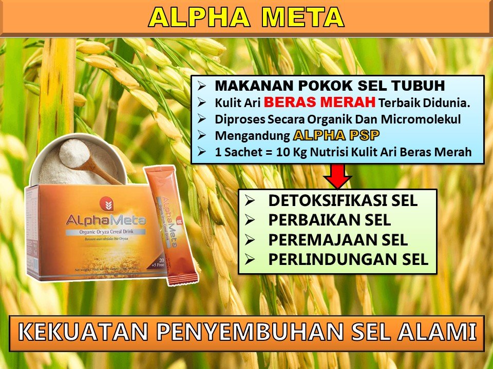 Visual Edukasi AlphaMeta